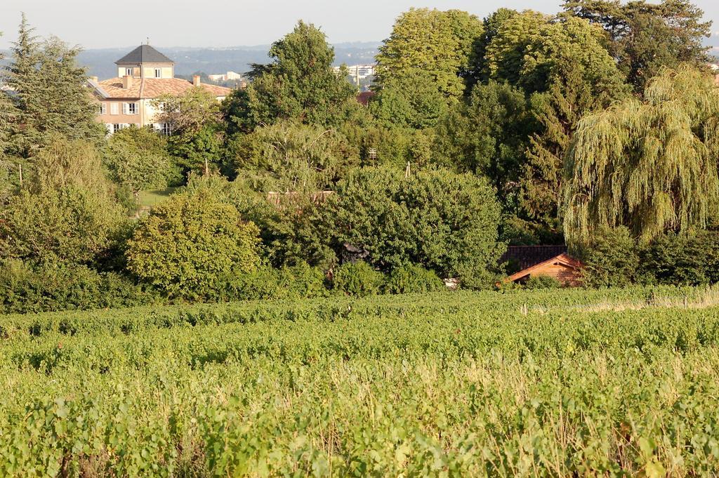 Le Montellier Bed & Breakfast Blace Luaran gambar